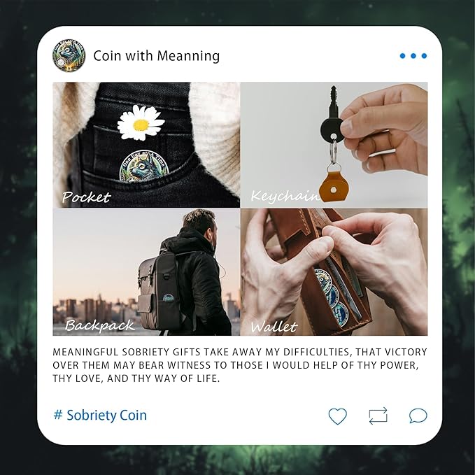 One Day at a Time 14 Year Sobriety Coin - Recovery Aurora Forest Wolf AA Coins - Addiction NA AA Chips and Medallions - Celebrate 1-30 Living Clean Narcotics Alcoholics Anonymous Gifts for Men Women