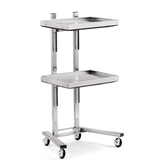 2-Tier Metal Rolling Cart, Stainless Steel Storage Trolley with Wheels, Utility Kitchen Stand for Bedroom, Salon, Tattoo Shop, and More