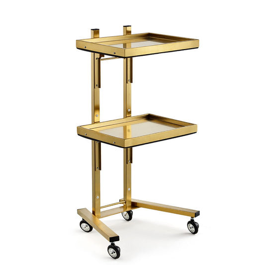 2-Tier Stainless Steel Rolling Cart with Wheels - Versatile Storage Trolley for Kitchen Salon Bedroom & Tattoo Shop -Utility Tray Stand for Easy nization,Golden