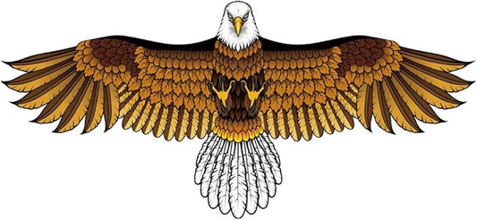 Bald Eagle Kite for Adults and Kids, Huge Kites Easy to Fly Single Line Kite for Beach Trip