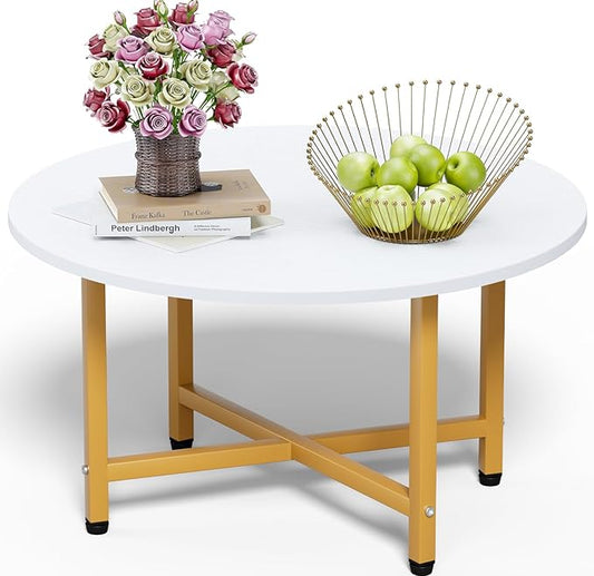 FAMIDGE Coffee Table, 23.6" Coffee Tables for Living Room, Round Coffee Table with Metal Frame, Floor Table for Sitting on The Floor, Home, Office, White & Gold Legs