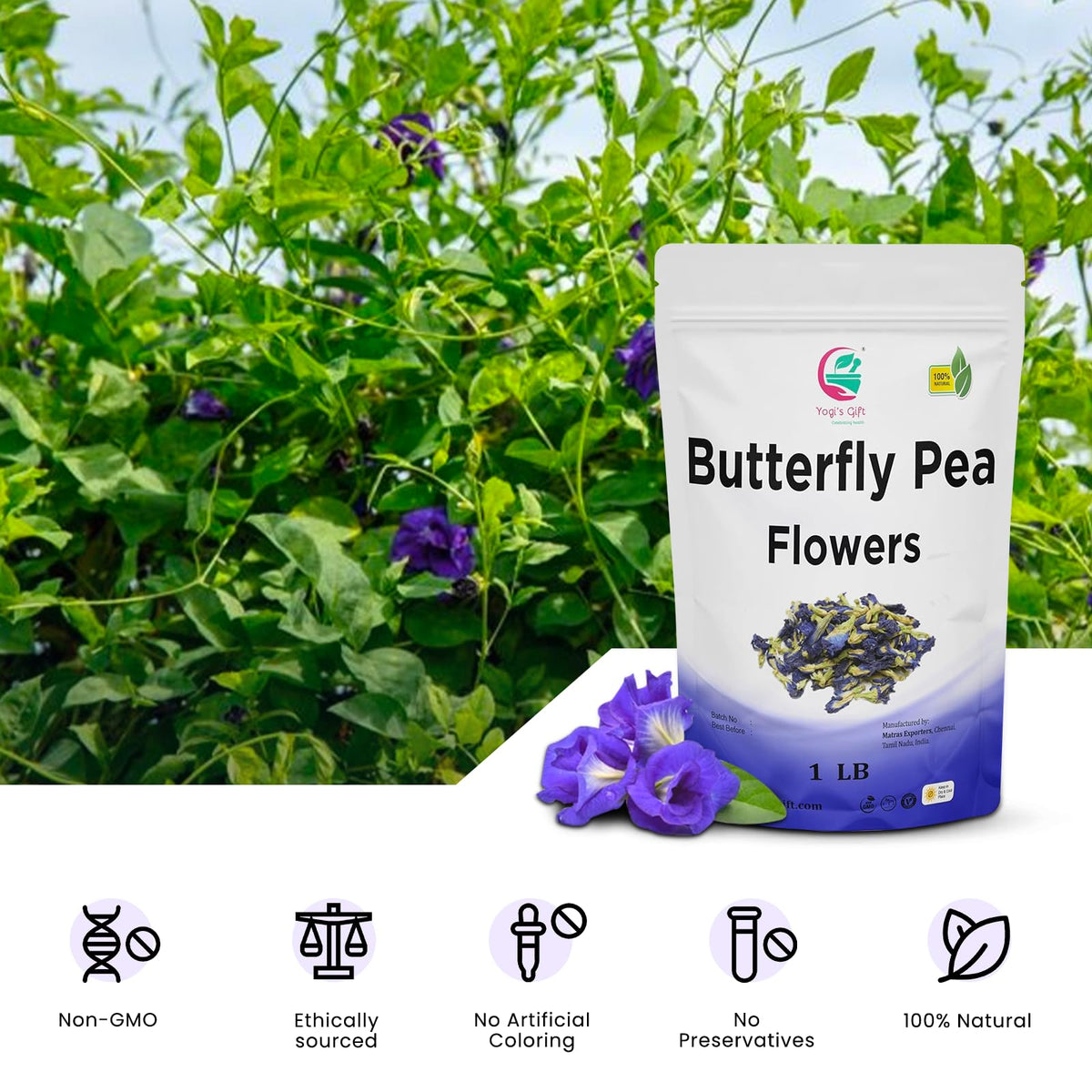 Butterfly Pea Flower Dried 1 LB (1000+ Cups) | Blue Butterfly Pea Flower Tea | Beautiful Blue Or Purple Food Coloring | Premium Quality | By Yogi's Gift®