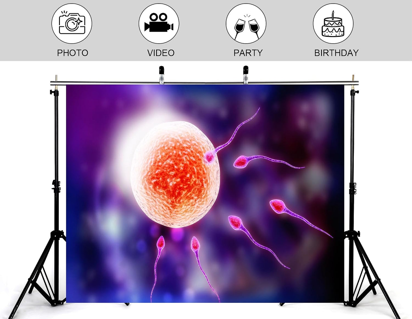 KeyWork 6x6ft Human Fertilization Illustration Backdrop Reproductive Science Photography Background for Health Fair