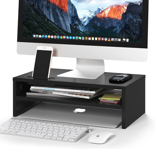 2-Tier 16.5 Inch BONTEC Wooden Monitor Stand Riser, Desk Shelf with Storage Organizer, Ergonomic Computer Stand
