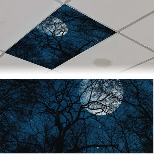 2PCS 4x2Feet(Night RoseFace Fluorescent Light Covers for Classroom Ceiling Lights Magnetic Light Covers,Fluorescent