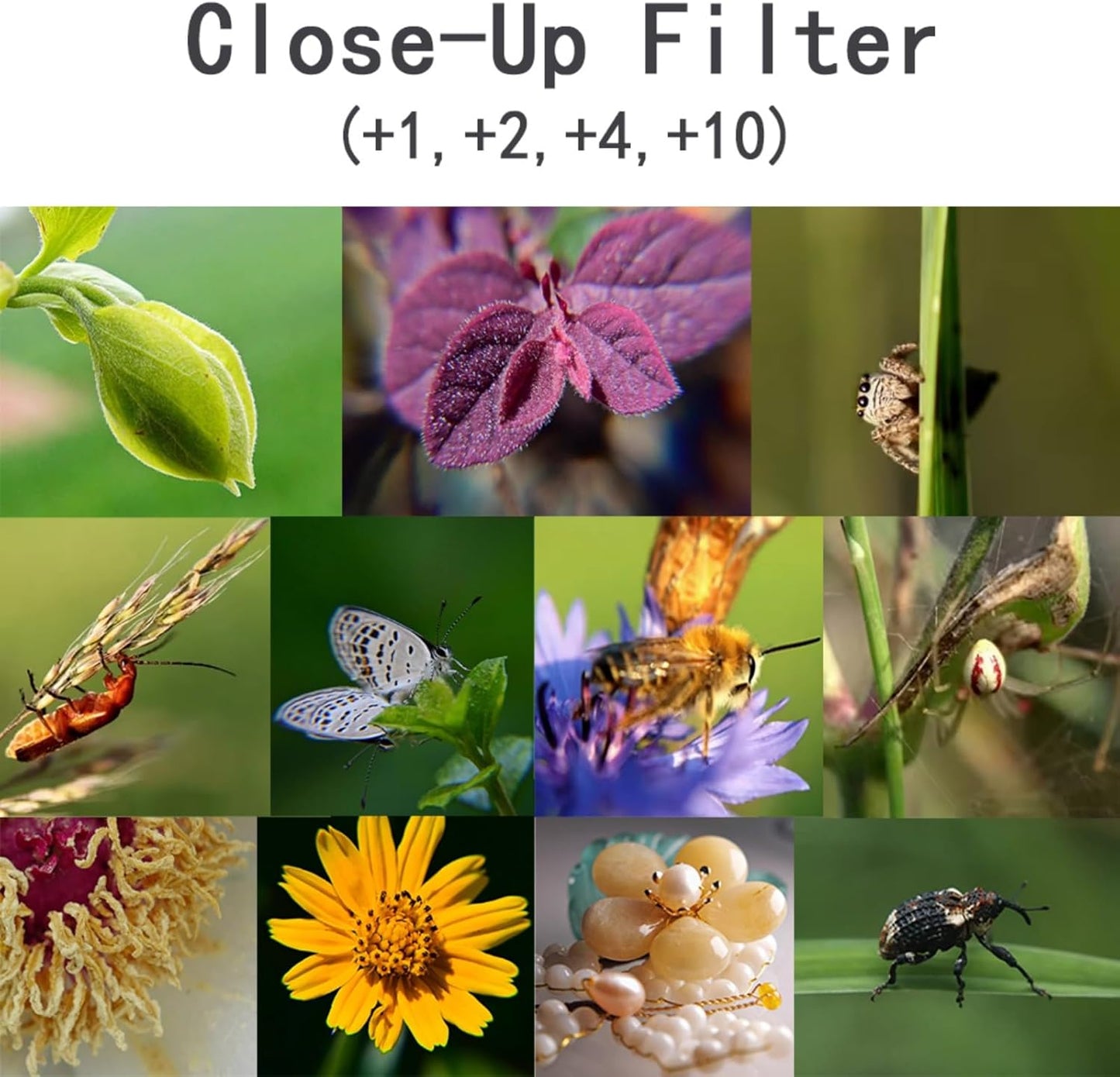 YOFOTIXAUU 46mm 4 (+1 +2 +4 +10) Set, (46mm) Close-Up Lens Filters Kit Pieces Macro Filter Lens Cap & Cleaning Cloth