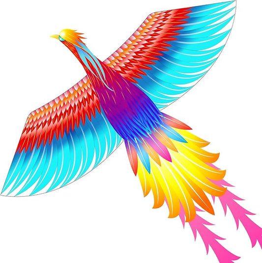Mint’s Colorful Life Large Kite for Kids and Adults, Easy to Fly Single Line Beach Kites, Comes with 300ft String Handle