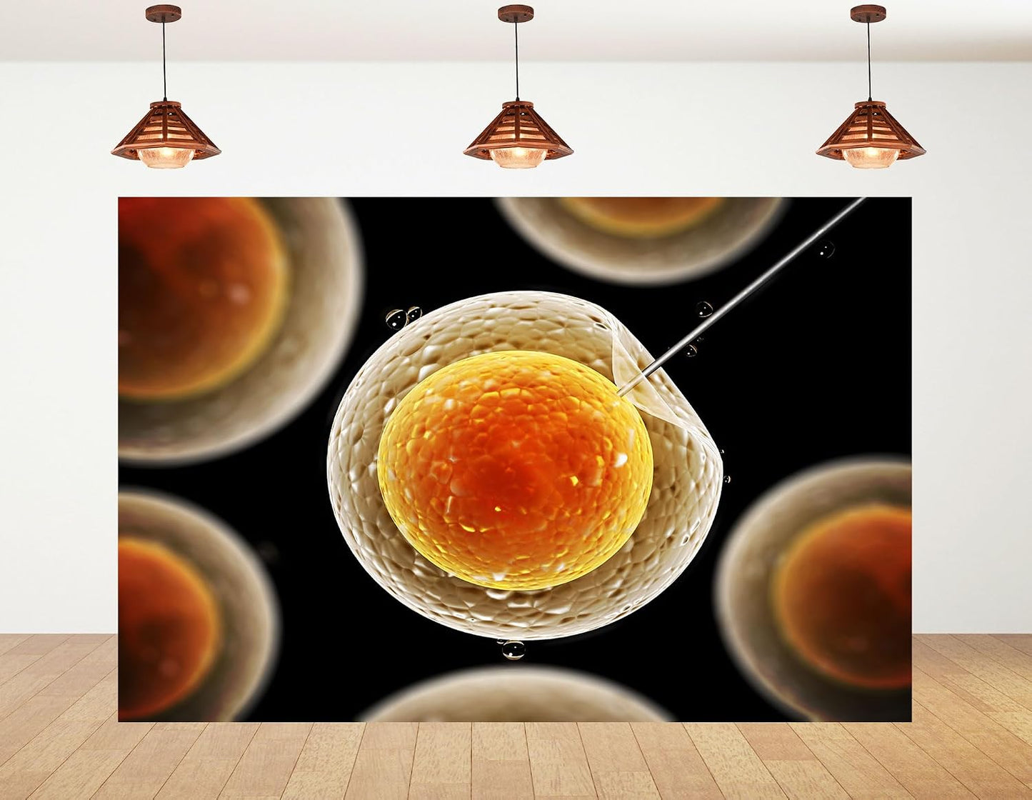 KeyWork 5x4ft Egg Cell Fertilization Backdrop Reproductive Medical Photography Background for Science Fair Health Event