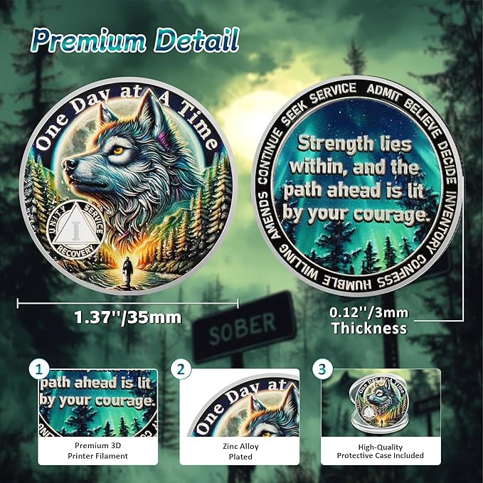 One Day at a Time 1 Year Sobriety Coin - Recovery Aurora Forest Wolf AA Coins - Addiction NA AA Chips and Medallions - Celebrate 1-20 Living Clean Narcotics Alcoholics Anonymous Gifts for Men Women