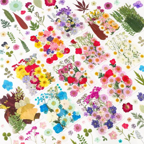 NESCCI 420 Pcs Dried Pressed Flowers for Resin,Real Nature Dried Flowers for Crafts Bulk Dry Flowers Leaves Kit Used for Resin Molds Scrapbooking DIY Art Crafts Candle Soap Making Nails Décor