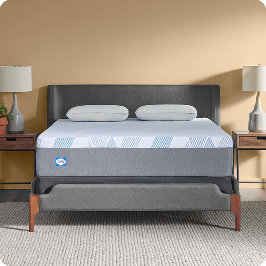 Sealy Dreamlife 12” Foam Mattress-in-a-Box, Twin XL, SealyComfort Gel Memory Foam, SealySupport Transition Foam, Surface-Guard Technology