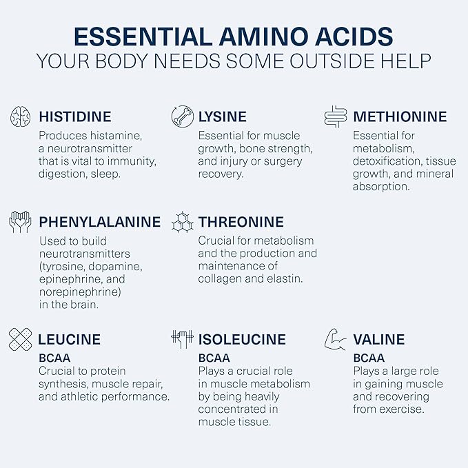 The Amino CO. - Heal - Post Workout Recovery Drink with Pure Eaa Amino Acid Formula -Creatine Monohydrate Powder for Efficient Muscle Repair, Vegan, and Keto-Friendly with Vanilla Flavor - 10.58oz.