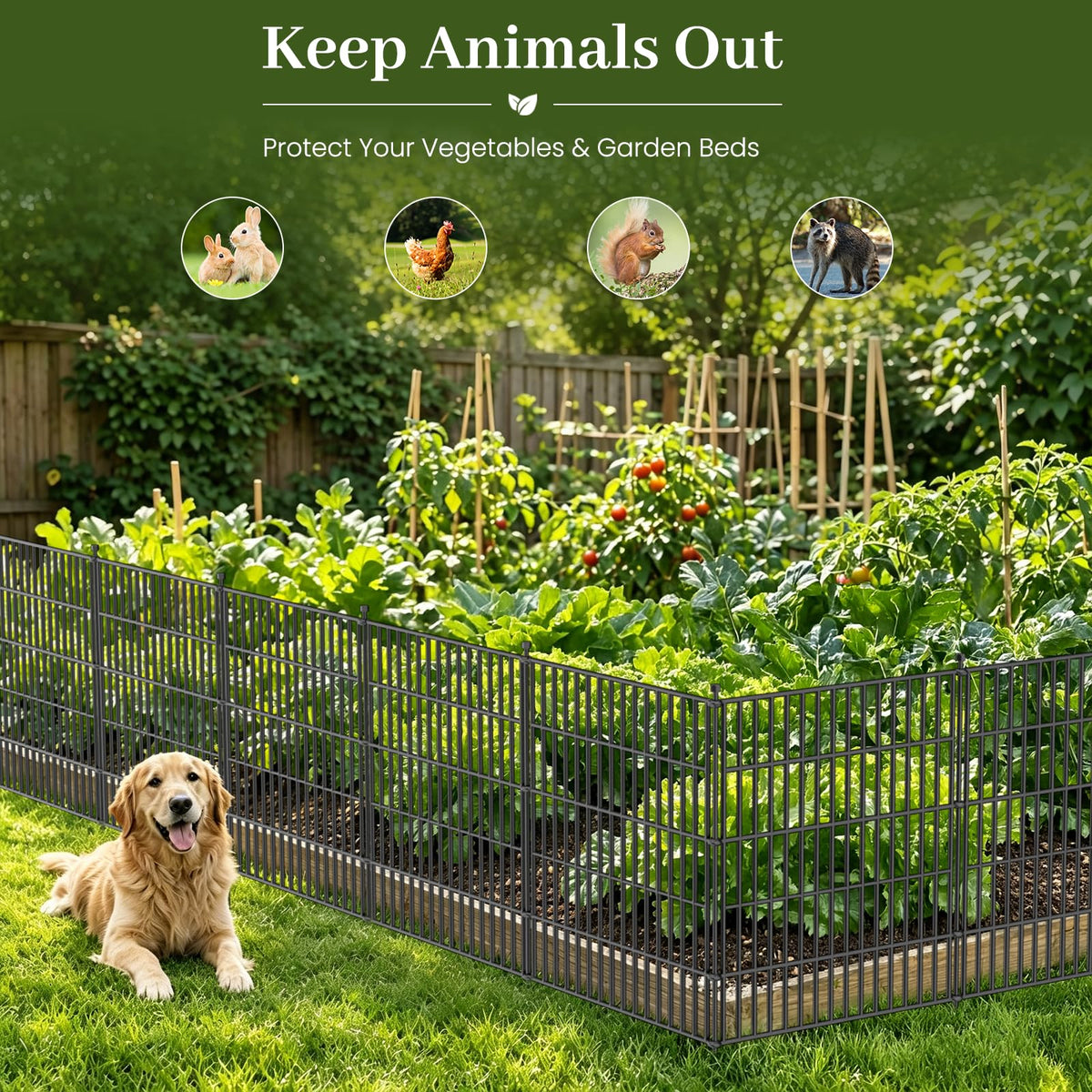 10 Panels No Dig Decorative Outdoor Garden Fence for Yard, 32 in(H) X 23.6 ft(L) Animal Barrier Fencing Rustproof Metal Wire Panel Border for Dog, Rabbits, and Patio Temporary Ground Stakes