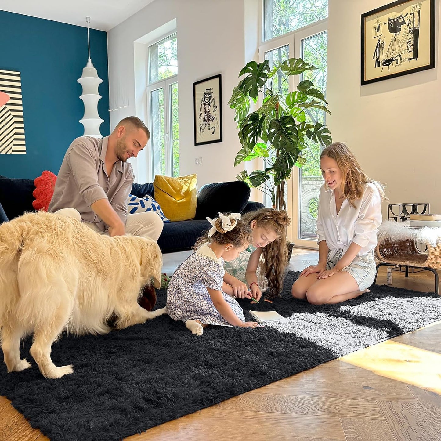 OLANLY Area Rug - Soft Fluffy Shaggy Design for Living Room & Bedroom | Machine Washable, Black 4x8