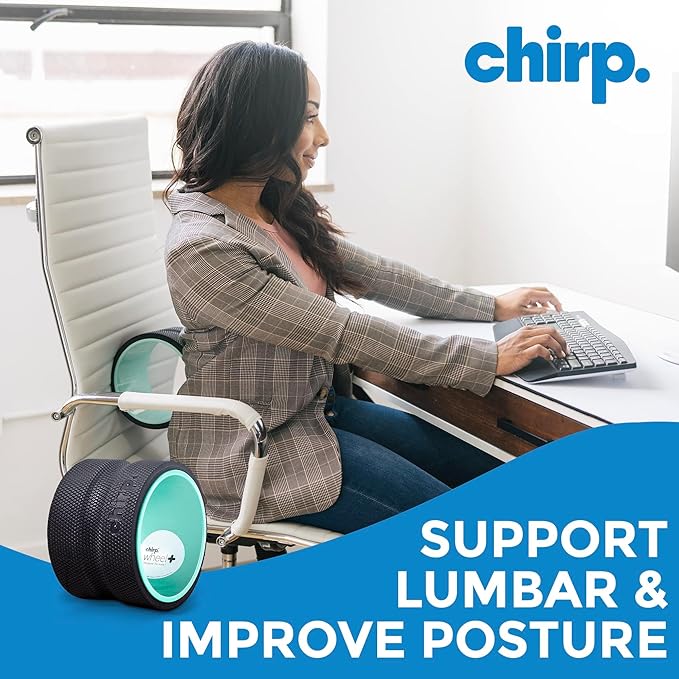 Chirp Wheel Foam Roller ??Targeted Back & Neck Relief, Lumbar Spine Stretcher, Spinal Decompression Back Stretcher, Massage Roller with Density Foam for Physical Therapy, Supports 500lbs, 6-Inch Mint