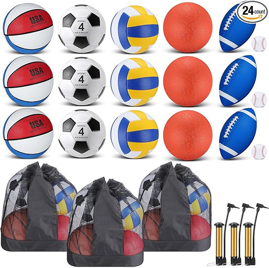 Leyndo 18 Pcs Sports Ball Set for Kids, Official Size Basketball Football Soccer Ball Playground Volleyball Baseball Outdoor Sport Equipment Bag and Pump Back to School Gift