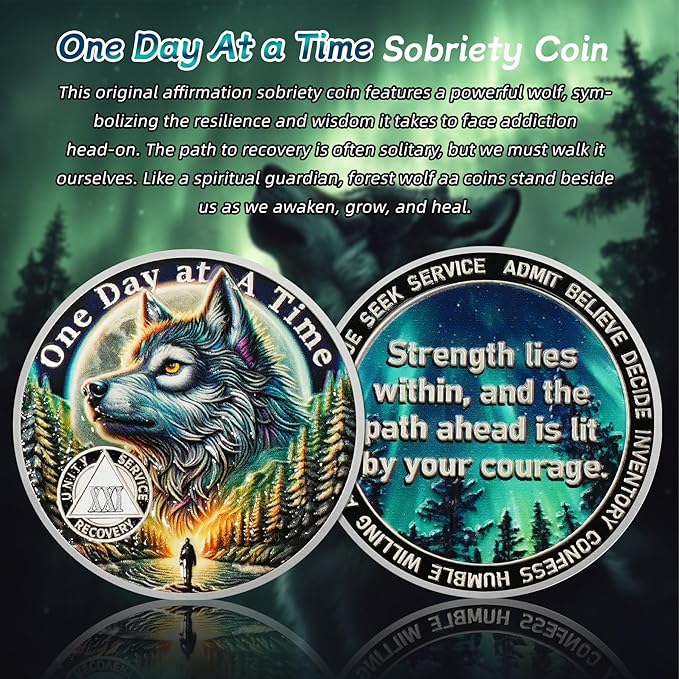 One Day at a Time 21 Year Sobriety Coin - Recovery Aurora Forest Wolf AA Coins - Addiction NA AA Chips and Medallions - Celebrate 1-30 Living Clean Narcotics Alcoholics Anonymous Gifts for Men Women
