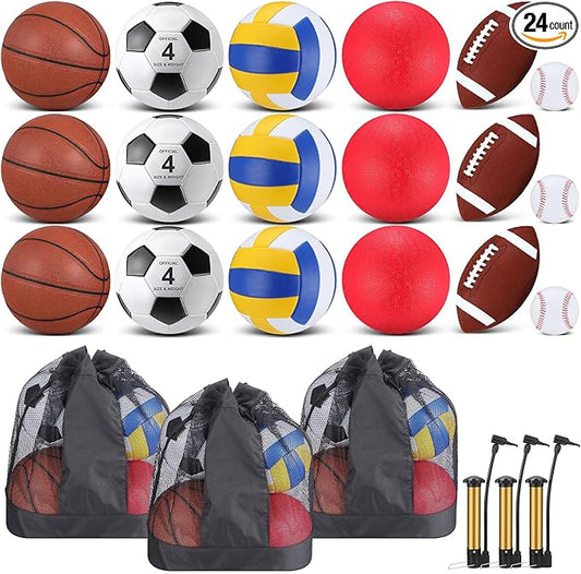 Leyndo 18 Pcs Sports Ball Set for Kids, Official Size Basketball Football Soccer Ball Playground Volleyball Baseball Outdoor Sport Equipment Bag and Pump Back to School Gift