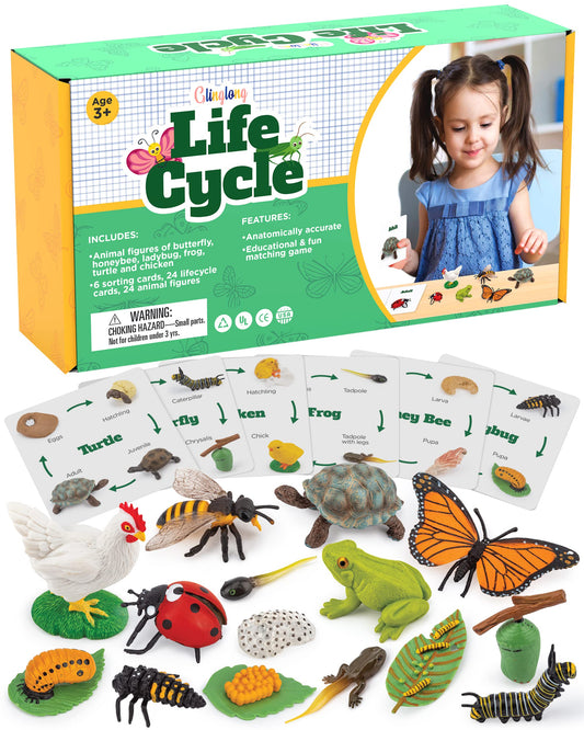 Life Cycle Animal Kit - Montessori Science Toy with 24-Piece Matching Game, Butterfly, Frog, Chicken, Bee, Ladybug and Turtle STEM Educational Gift, Easter Basket fillers for Kids Ages 3-8